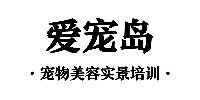 西安爱宠岛宠物美容实景培训中心
