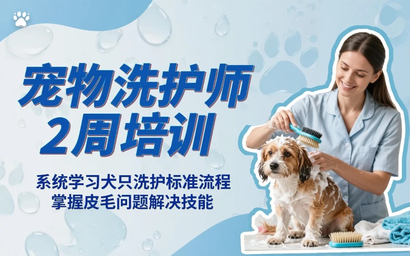 西安宠物洗护师2周培训班