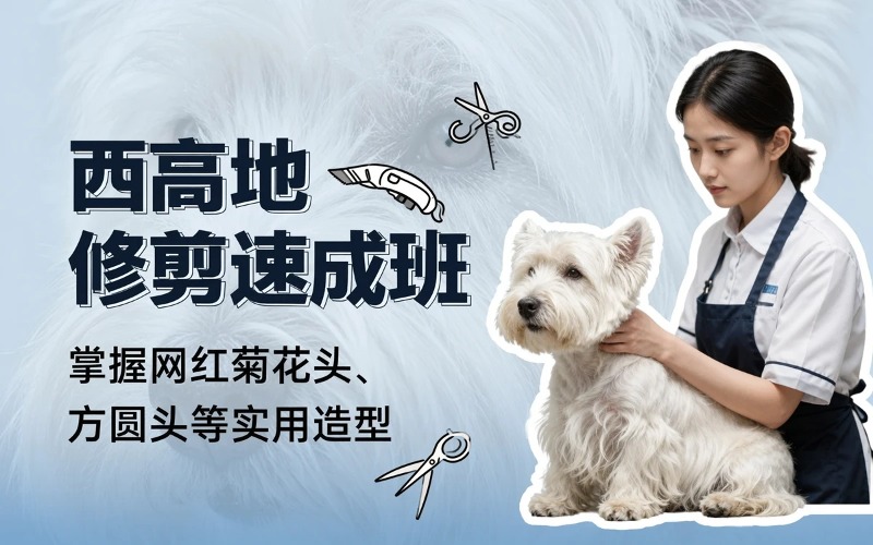 西安西高地修剪速成班