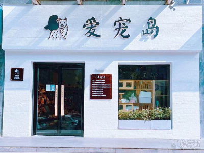 西安爱宠岛宠物美容实景培训中心老师如何?