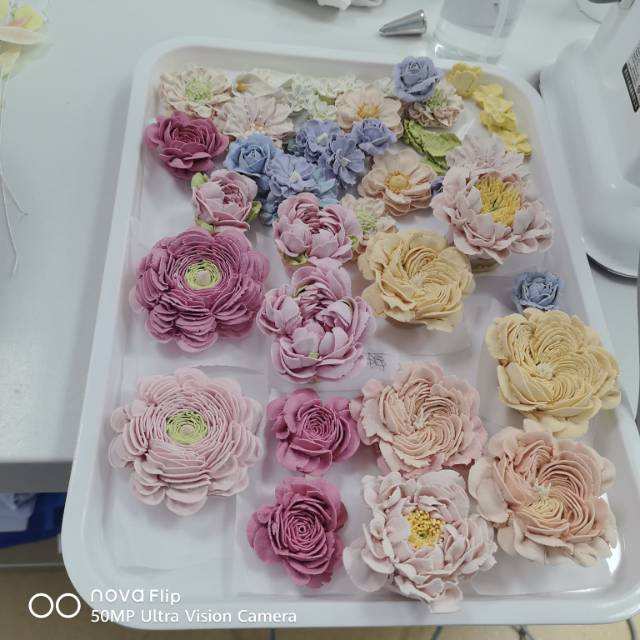 环境/教学
