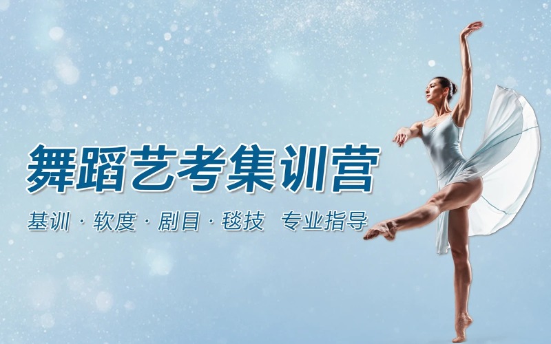 沈阳舞蹈小艺考集训营