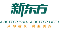 湖北新东方培训学校