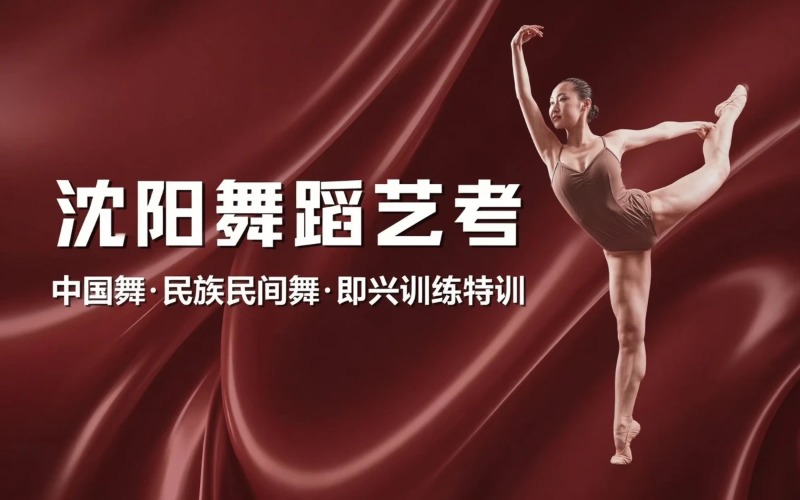 沈阳舞蹈艺考培训课程