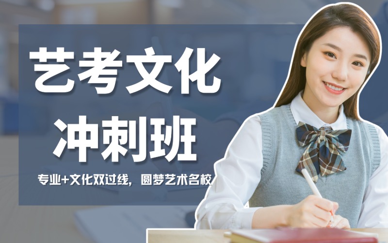 上海全日制艺考生文化课冲刺班