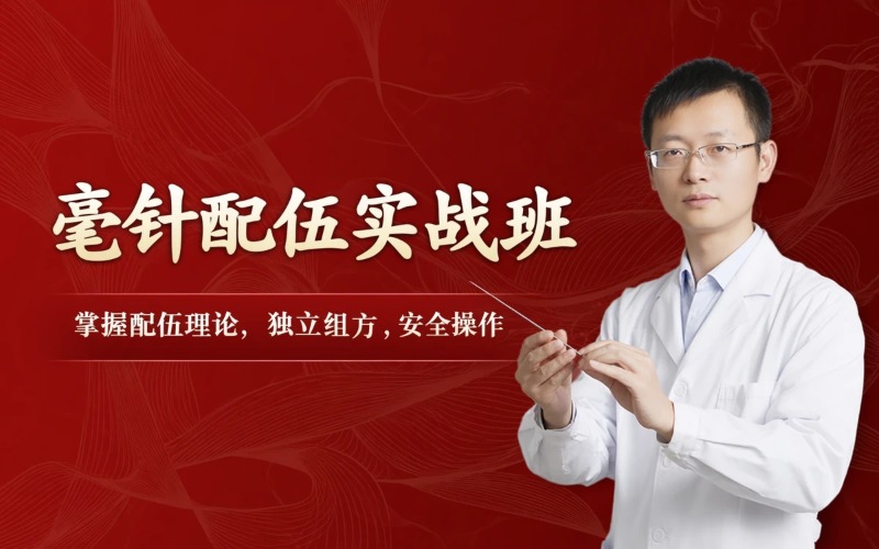 天津毫针配伍针法实战班