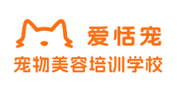 湖南爱恬宠宠物美容培训学校