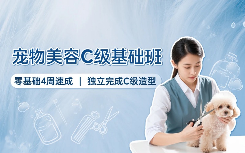 济宁宠物美容C级基础培训班
