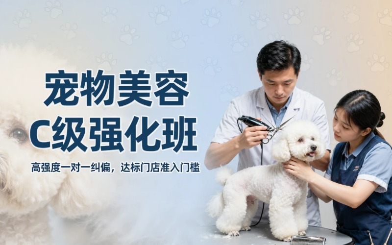 济宁宠物美容C级强化培训班