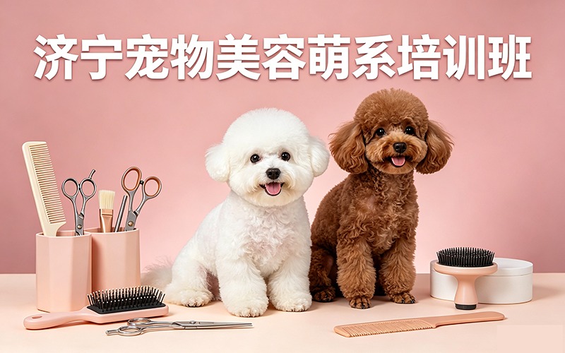 济宁宠物美容萌系培训班