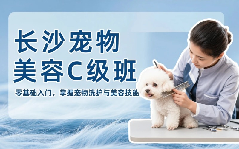 长沙宠物美容C级专业班