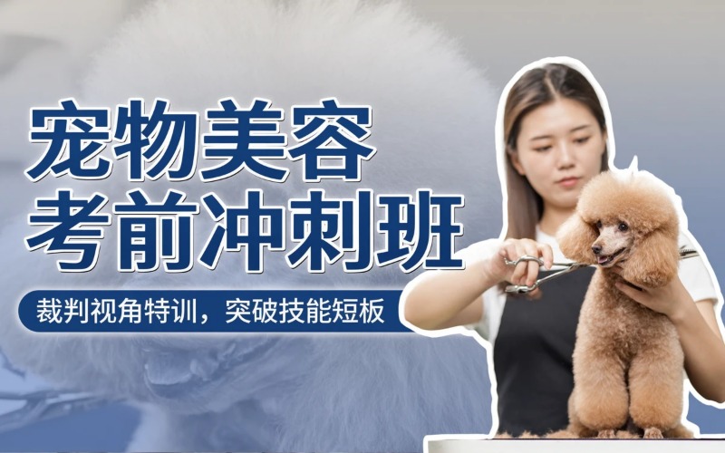 济宁宠物美容考前冲刺班
