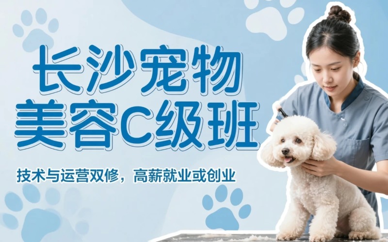 长沙宠物美容C级加强班