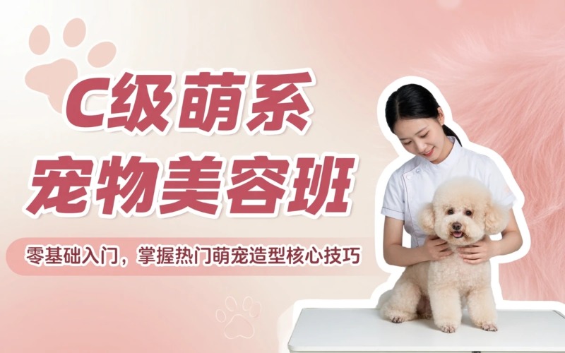 长沙宠物美容C级与萌系培训班