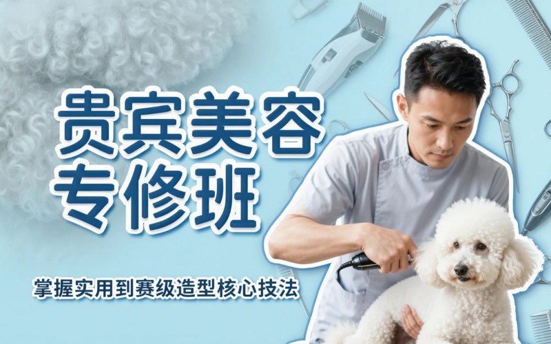 济宁宠物美容贵宾专修培训班