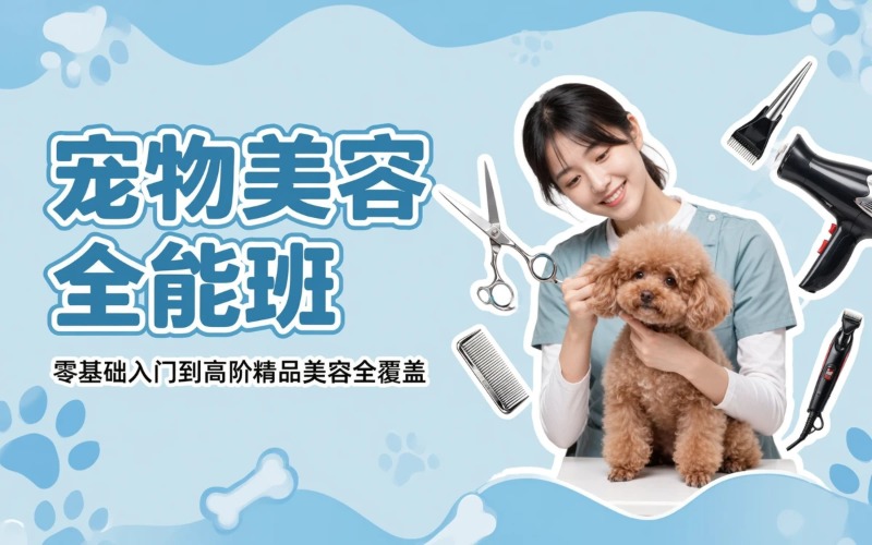 长沙宠物美容标准C级+B级培训班（含萌系）