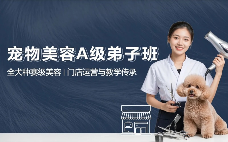 济宁宠物美容A级弟子班