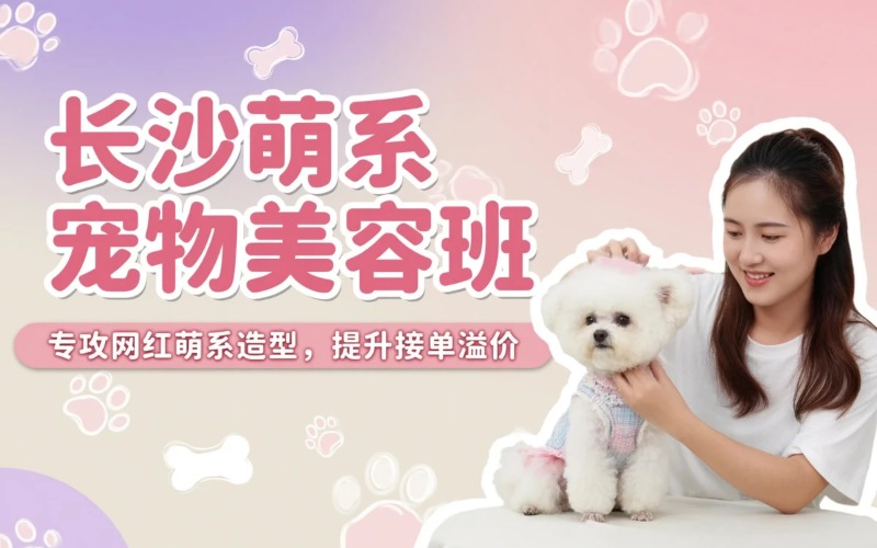长沙宠物美容萌系培训班