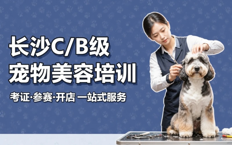 长沙加强C级+B级培训班