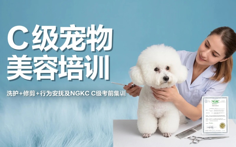 江门C级宠物美容全能培训班