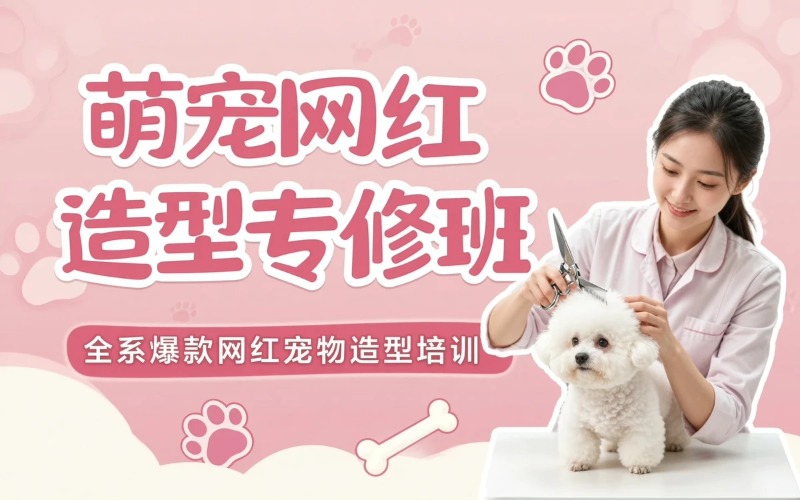 江门宠物网红萌系造型专修培训班