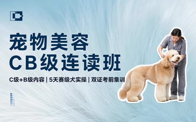 江门宠物美容CB级连读全能班
