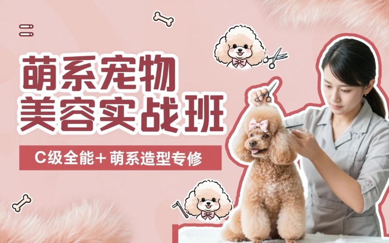 江门宠物美容C级/萌系门店实战班