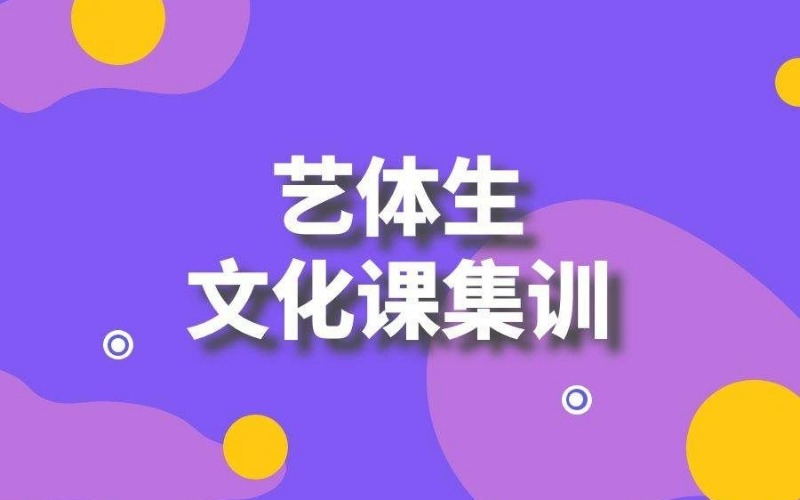 青岛艺体生文化课集训班