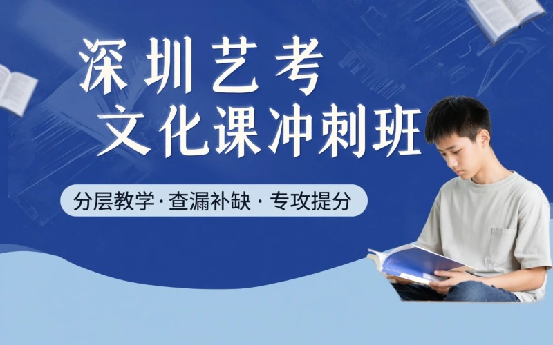 深圳艺考生文化课冲刺培训班