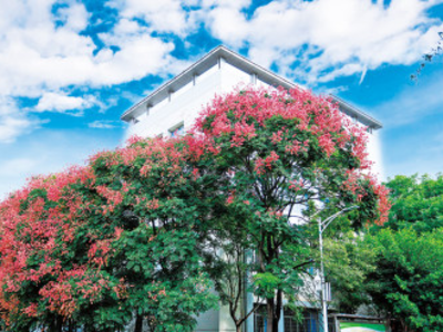 京桥医学教育怎么样?