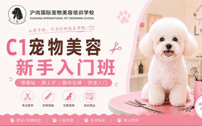 上海宠物美容培训C1新手入门班课程