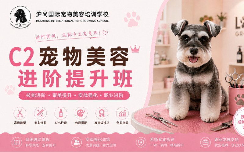 上海宠物美容培训C2进阶提升班课程