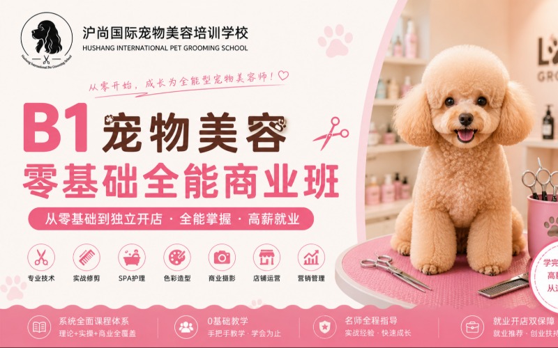 上海宠物美容培训B1零基础全能商业班课程
