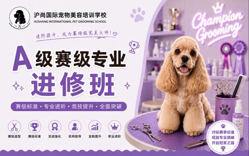 上海宠物美容培训A级专业进修班