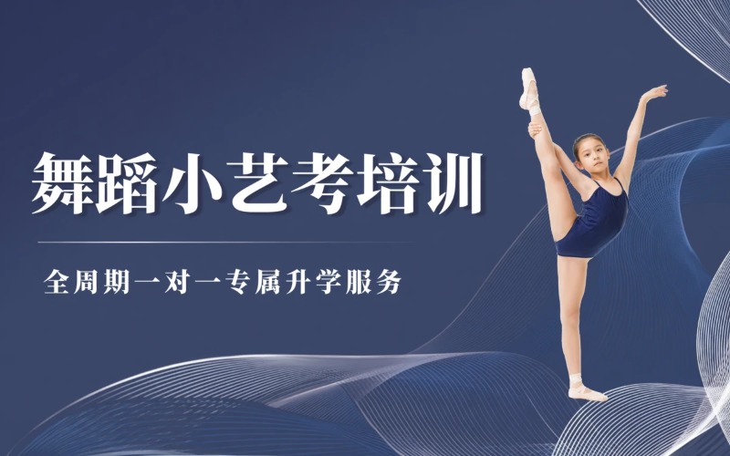 合肥附中升学舞蹈小艺考培训课程