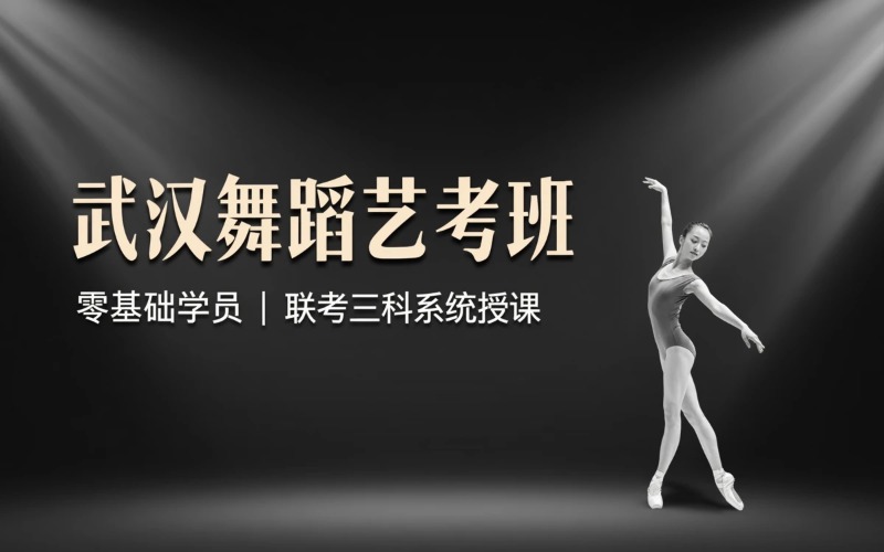 武汉臻至琴鸟教育