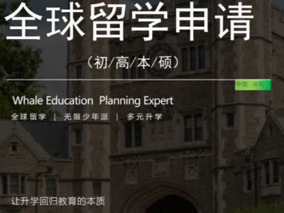 全球留学申请：多国混申，择优而往