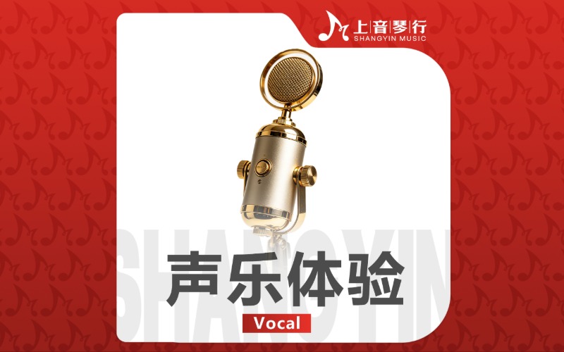 上海艺考声乐1对1体验课