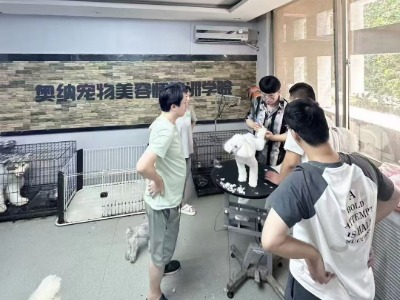 淄博奥纳宠物美容培训学校的教学现场怎么样