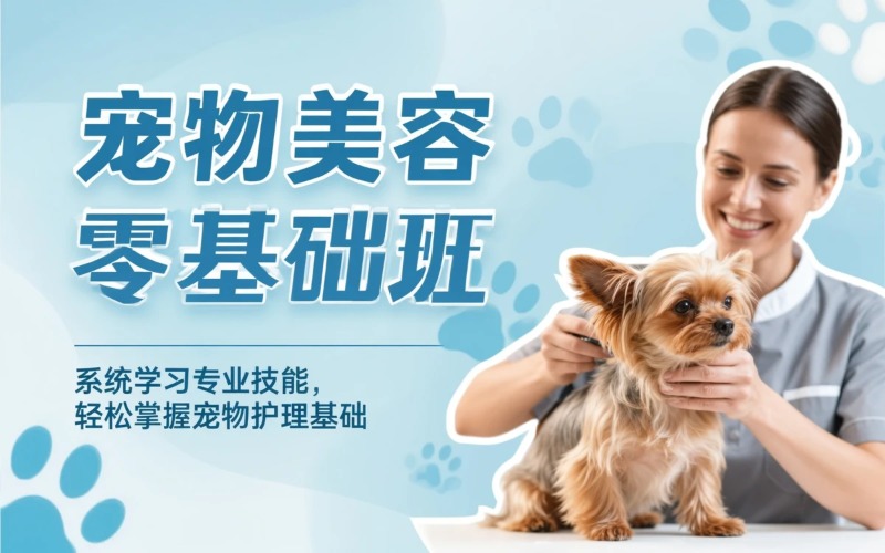 宠物美容护理C级零基础小白班