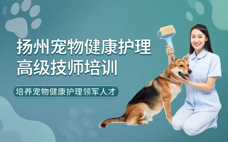 扬州宠物健康护理员技师与高级技师职业技能培训课程