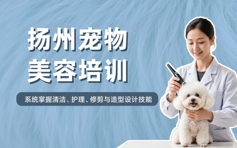 扬州宠物美容培训课程
