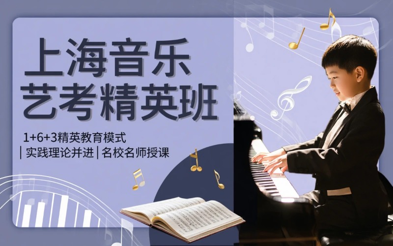 上海音乐艺考技能辅导班