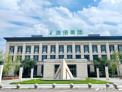 迪诺利特(山东)教育