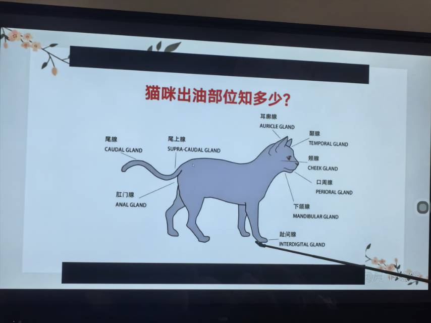 环境/教学