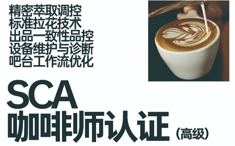 江苏SCA 咖啡师认证（高级）培训课程