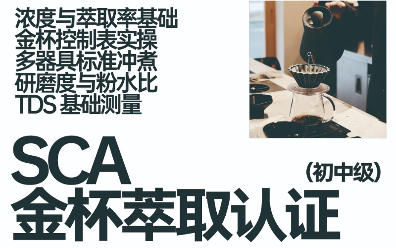 江苏SCA 金杯萃取认证（初/中级）培训课程