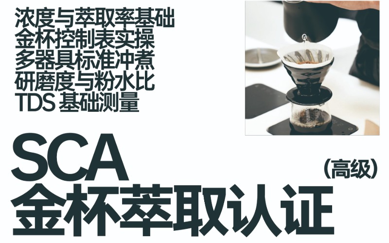 江苏SCA 金杯萃取认证（高级）培训课程