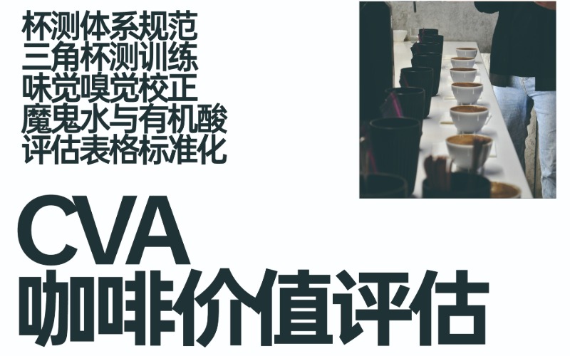 江苏CVA 咖啡价值评估培训课程