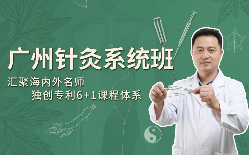 广州专业针灸系统培训班